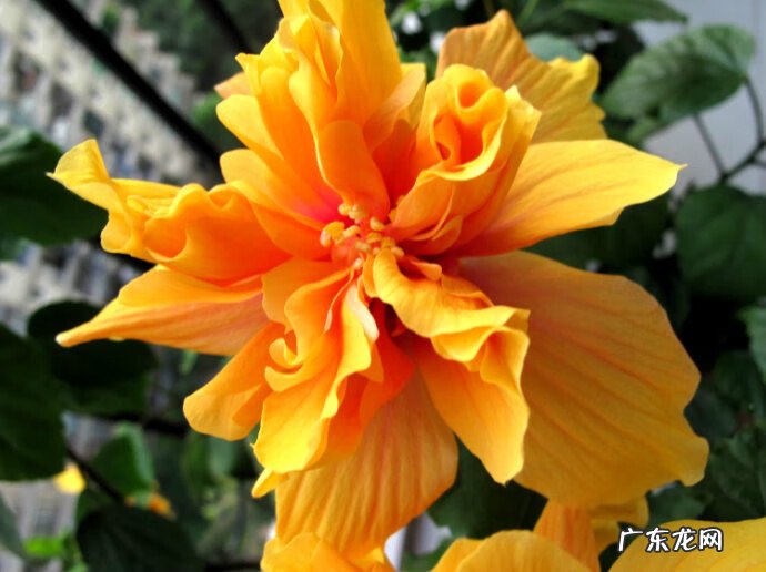 西交·高铁馨苑项目 高铁馨苑风水