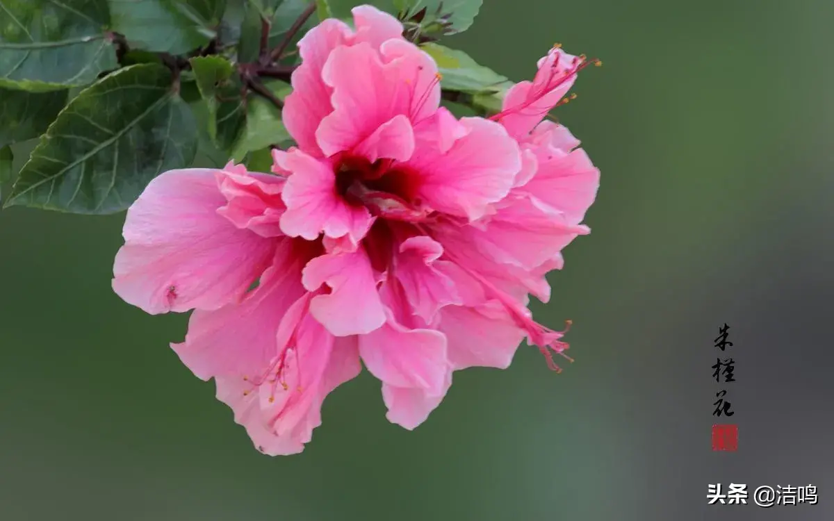 西交·高铁馨苑项目 高铁馨苑风水
