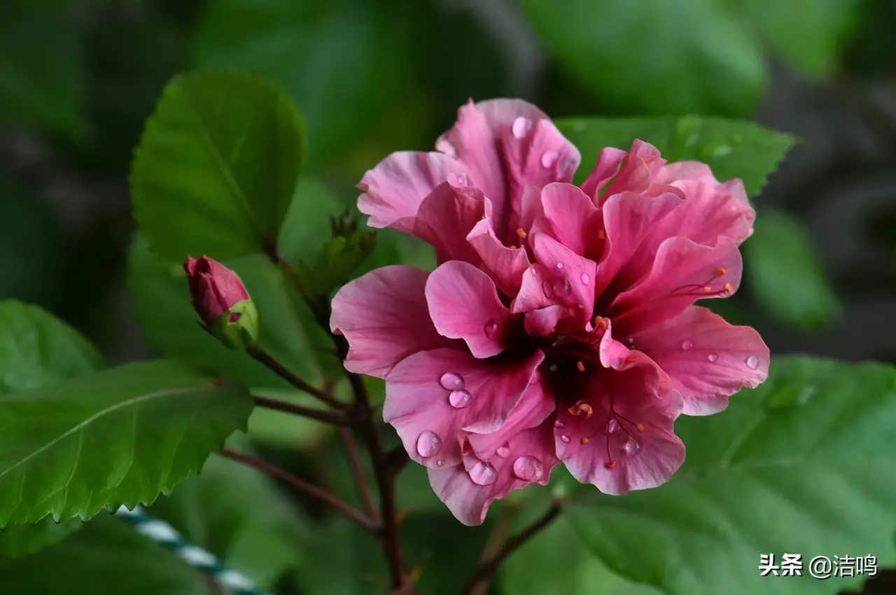西交·高铁馨苑项目 高铁馨苑风水