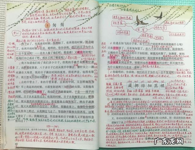 小学教师班主任工作总结 小学班主任总结工作