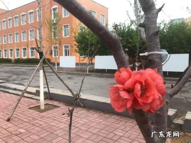 小学教师班主任工作总结 小学班主任总结工作