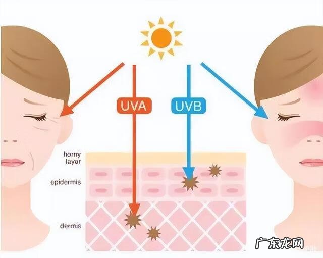 脸上有红血丝如何治 脸上红血丝怎么治?