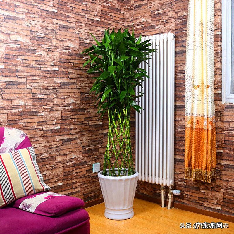 家里干净财气越旺 客厅风水旺财