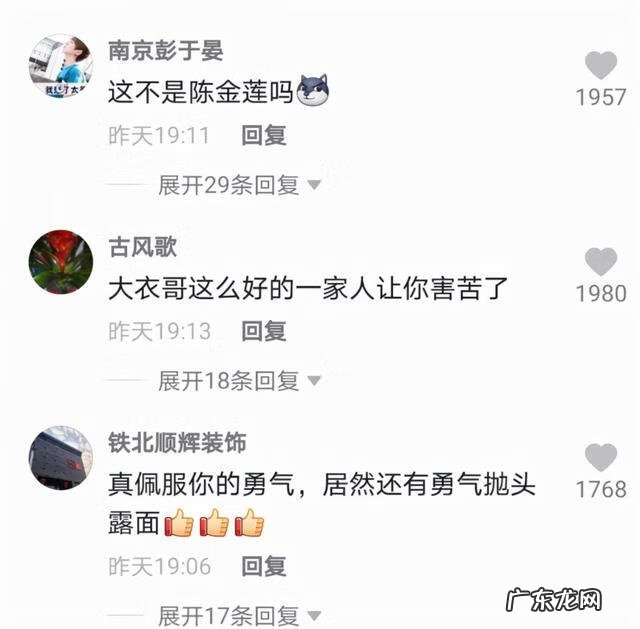 山鸡与凤凰关系 山鸡和凤凰