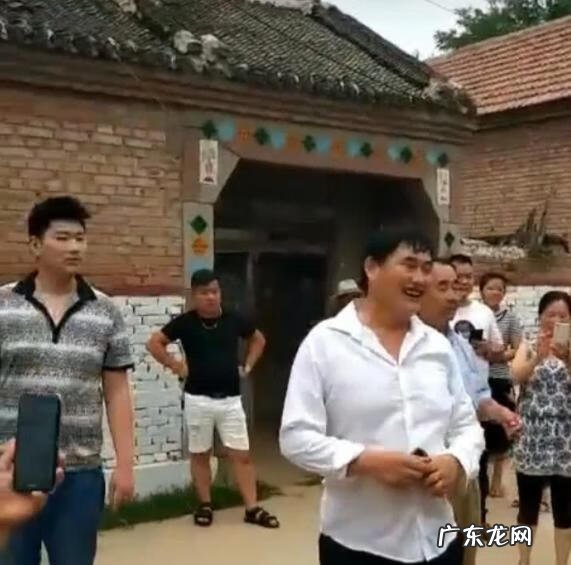 山鸡与凤凰关系 山鸡和凤凰
