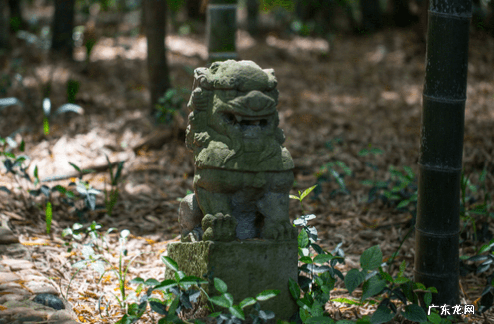 如何破狮子风水 风水上什么克狮子