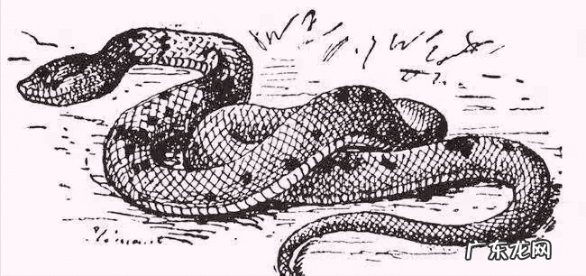 石碑雕刻图案 风水石碑图片