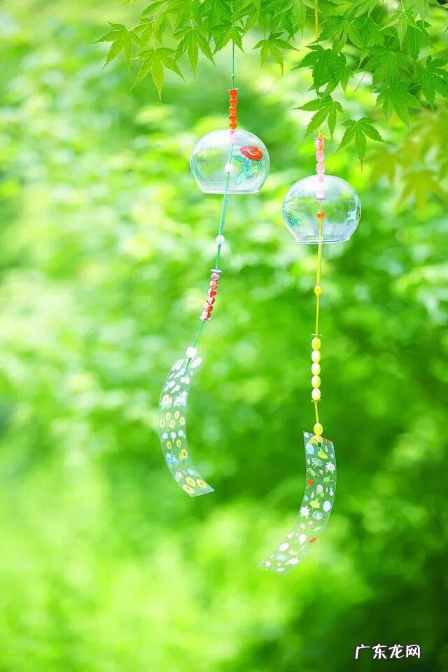 但惜夏日长 我爱夏日长什么意思