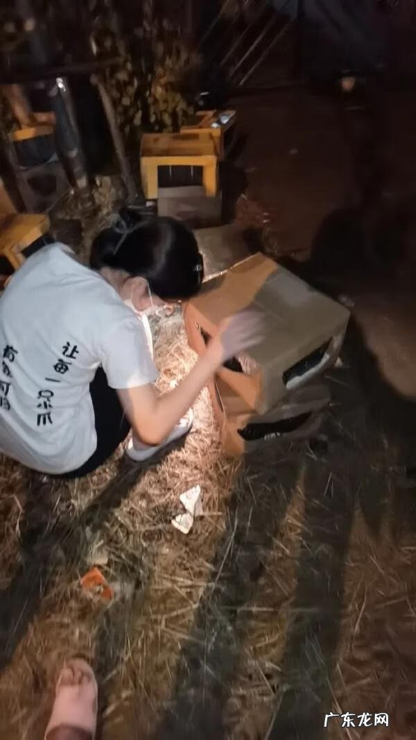 地运风水如何计算 运汇风水含义