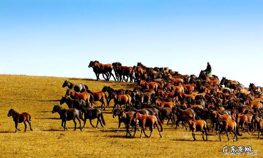娘娘墓遗址 娘娘坟的来历