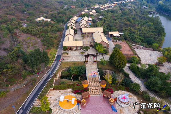 荀子 植物 荀子盆景风水