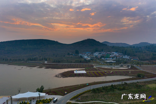 荀子 植物 荀子盆景风水