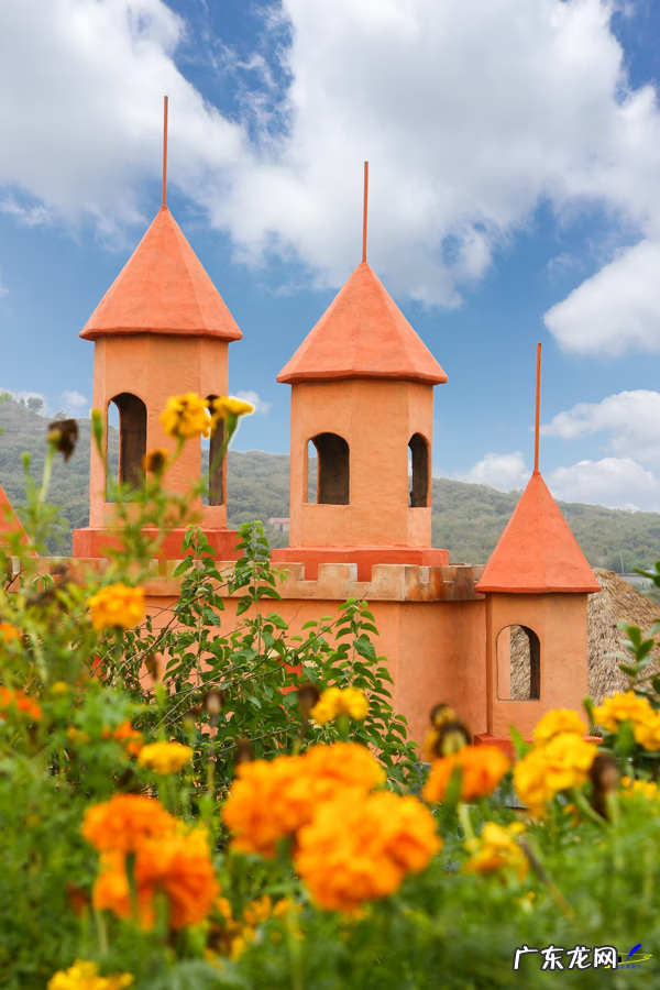 荀子 植物 荀子盆景风水