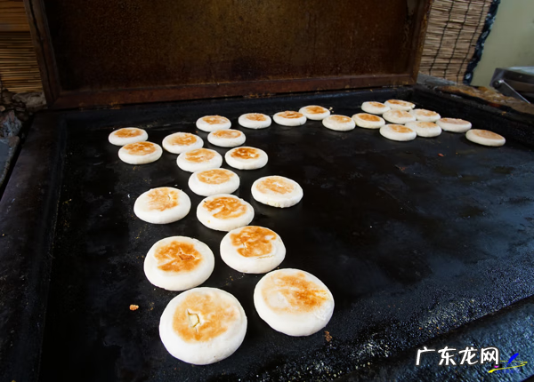 荀子 植物 荀子盆景风水