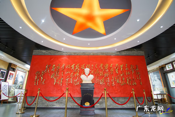 荀子 植物 荀子盆景风水