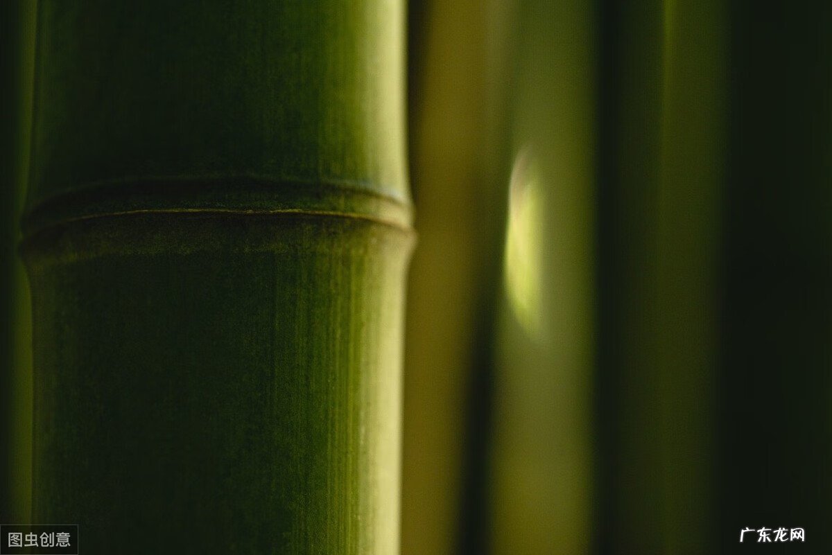 关于风水轮流转的说说 风水轮流转怎么转