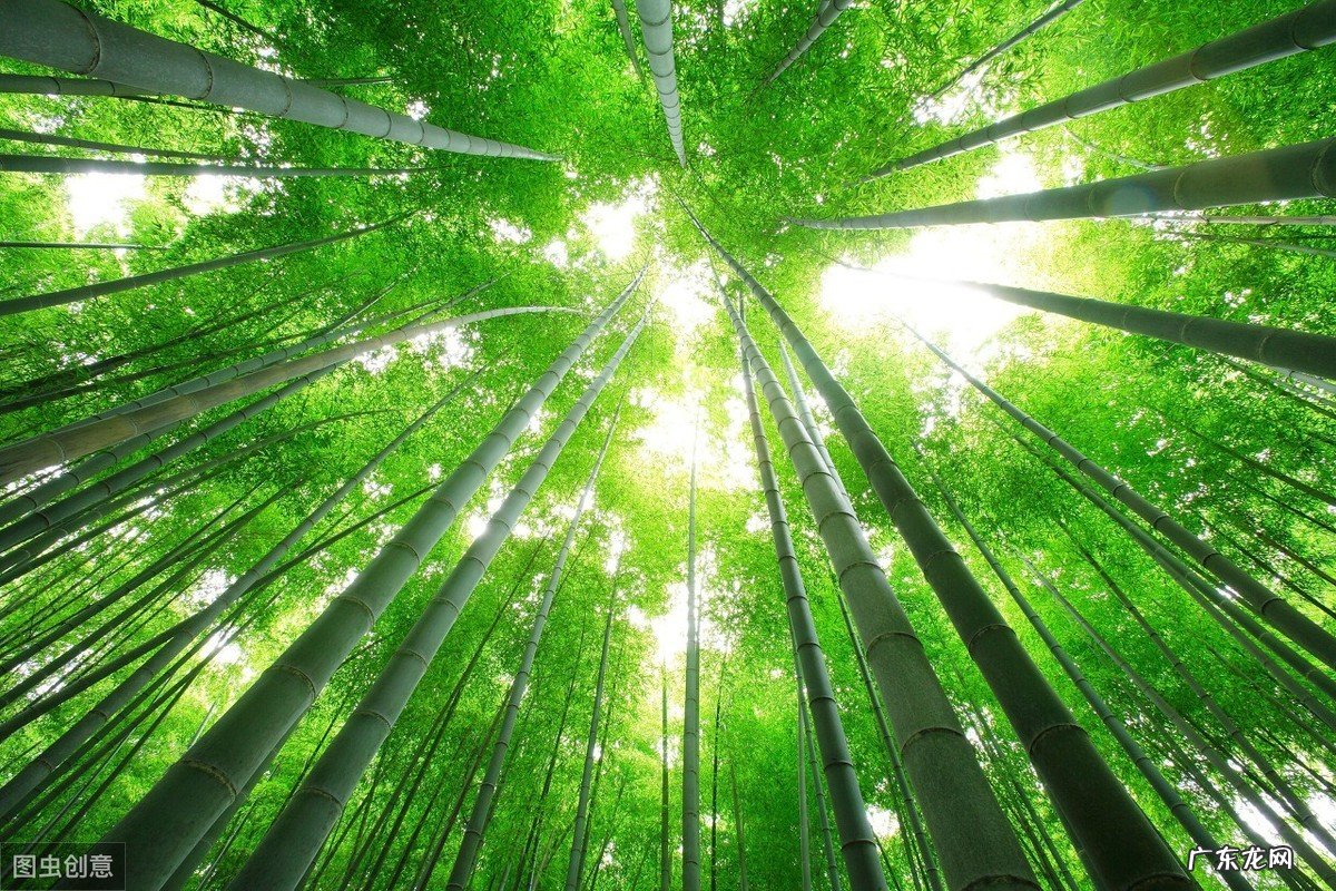 关于风水轮流转的说说 风水轮流转怎么转