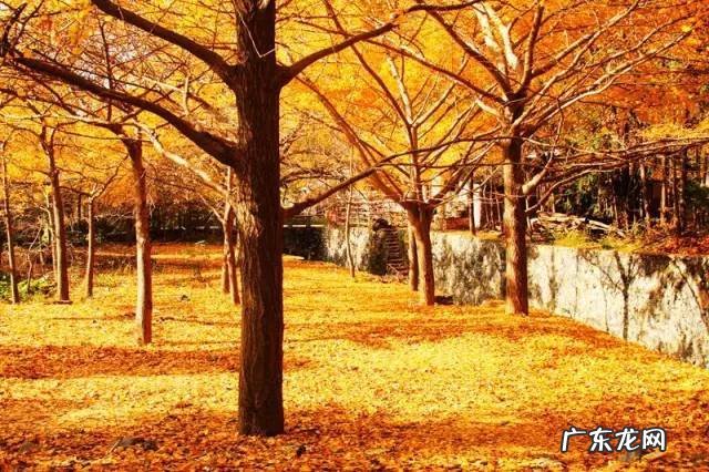 孝义市有多少人口 孝感风水最好的地方