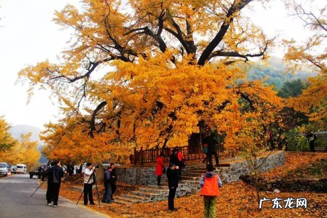 孝义市有多少人口 孝感风水最好的地方