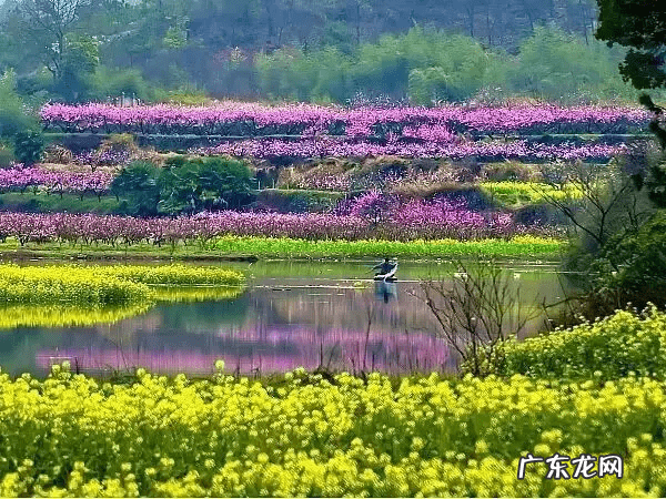 嘉兴嘉善有什么好玩的地方 嘉善风水好不