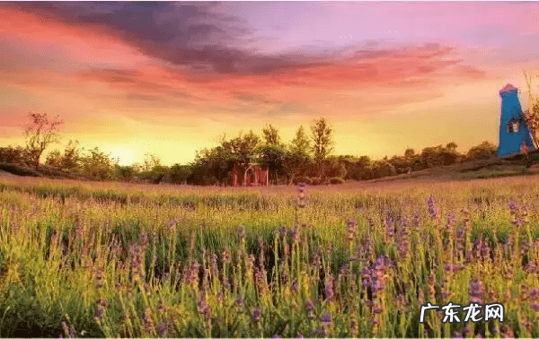 嘉兴嘉善有什么好玩的地方 嘉善风水好不