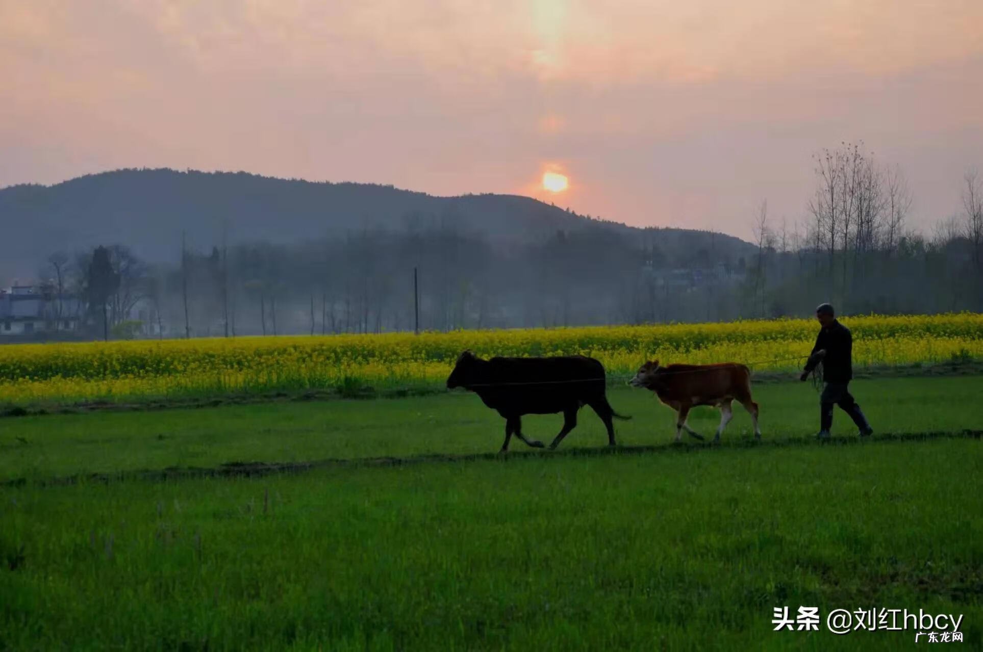 碘伏撒地上怎么去除 看风水先生撒的是碘伏水吗