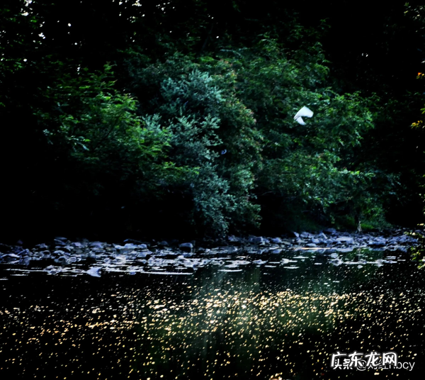 碘伏撒地上怎么去除 看风水先生撒的是碘伏水吗