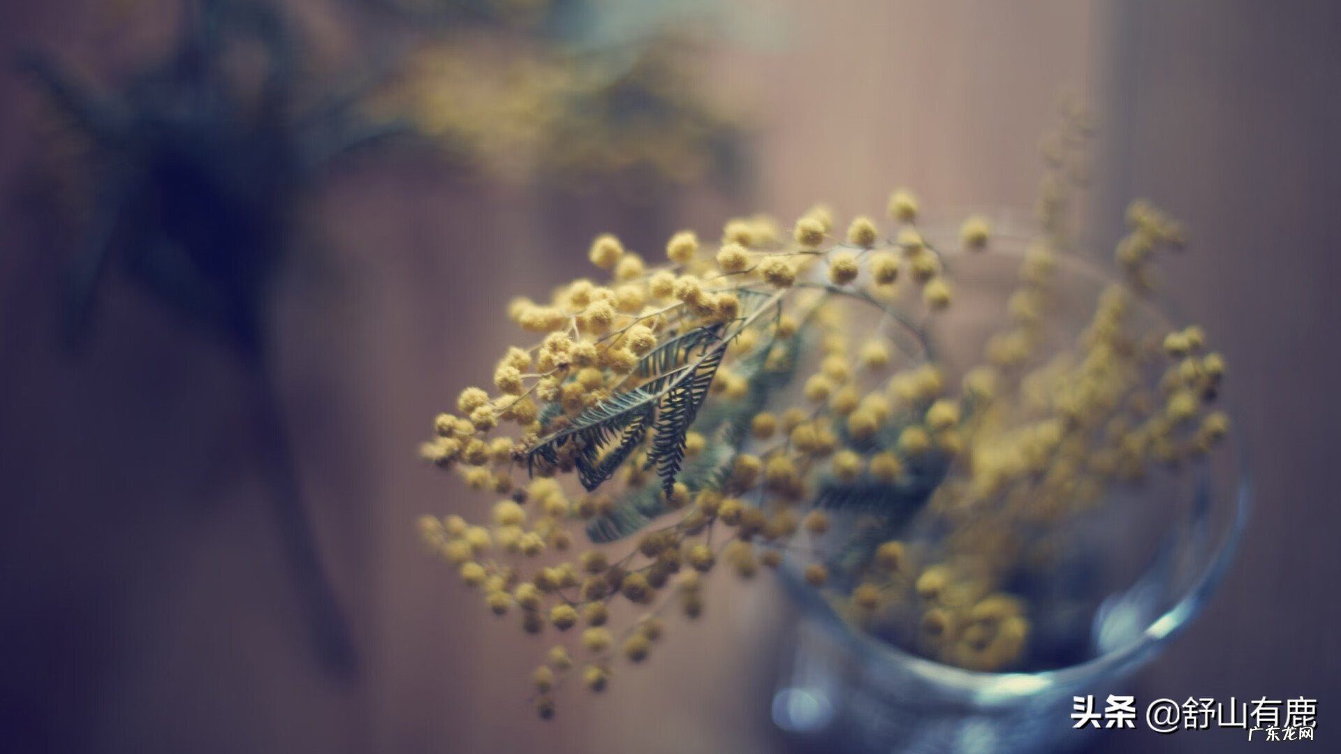 如何经营好家庭 家里怎么才会有好风水