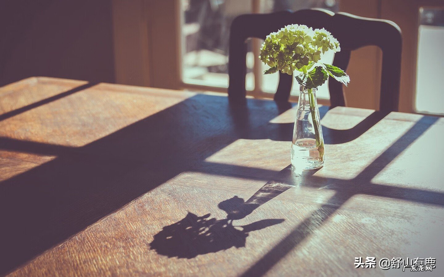 如何经营好家庭 家里怎么才会有好风水