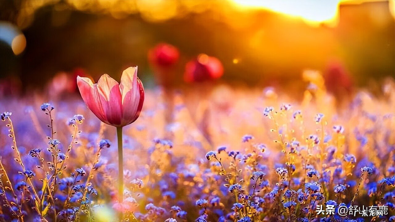 如何经营好家庭 家里怎么才会有好风水