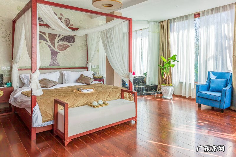 富贵竹一般都养多少只为好 风水学富贵竹养几支最好