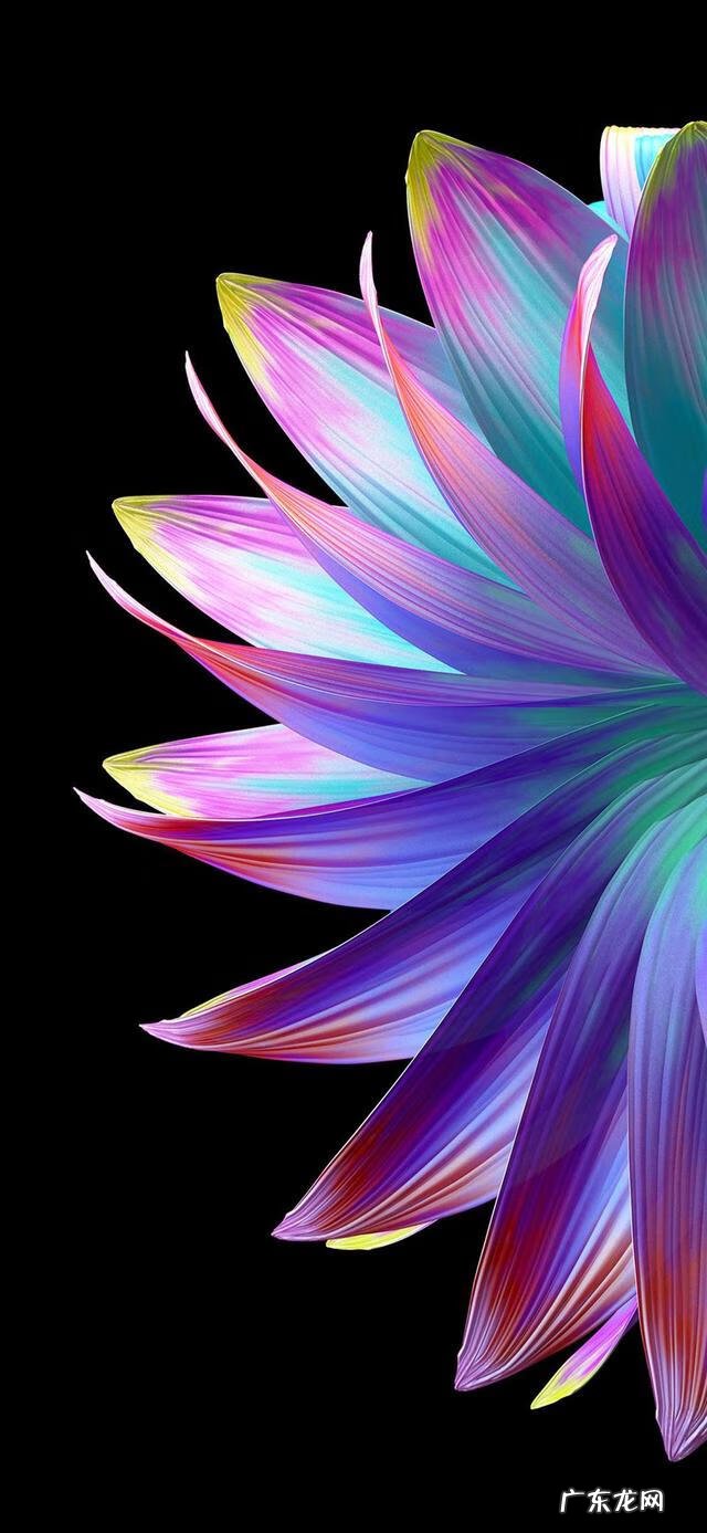 听觉艺术 视觉艺术图片