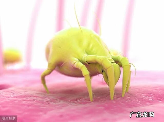 用硫磺皂洗头发好吗 硫磺皂洗头发正确方法图解