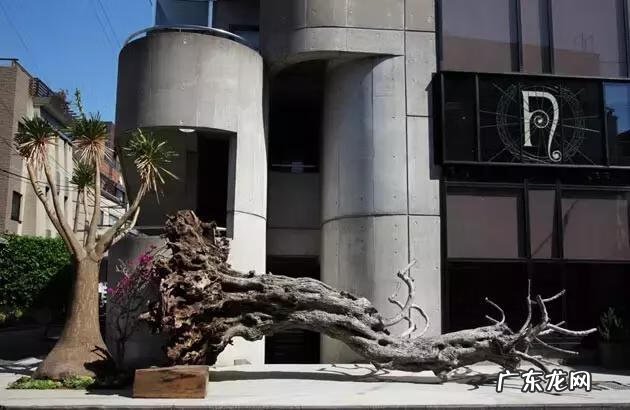 日本为什么那么时尚 日本时尚品牌