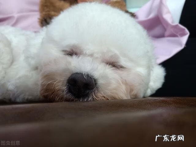 什么是睡眠呼吸暂停综合症 呼吸睡眠暂停综合征