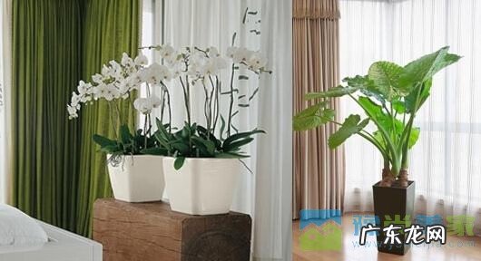 家里正北方是哪个位置 风水正北方应该是什么位