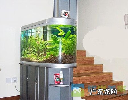 家里正北方是哪个位置 风水正北方应该是什么位