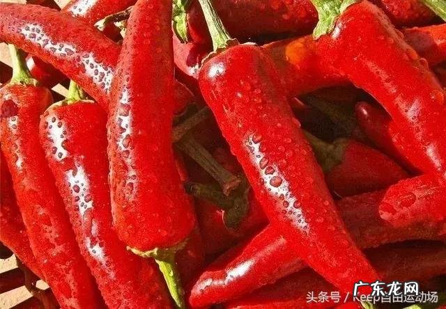 绿瘦左旋肉碱咖啡减肥靠谱吗 绿瘦左旋肉碱咖啡