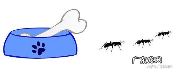 凡士林功效与主治 凡士林的作用与用途