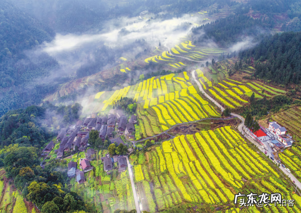 门口有青石板好不好 青石板在风水上的作用