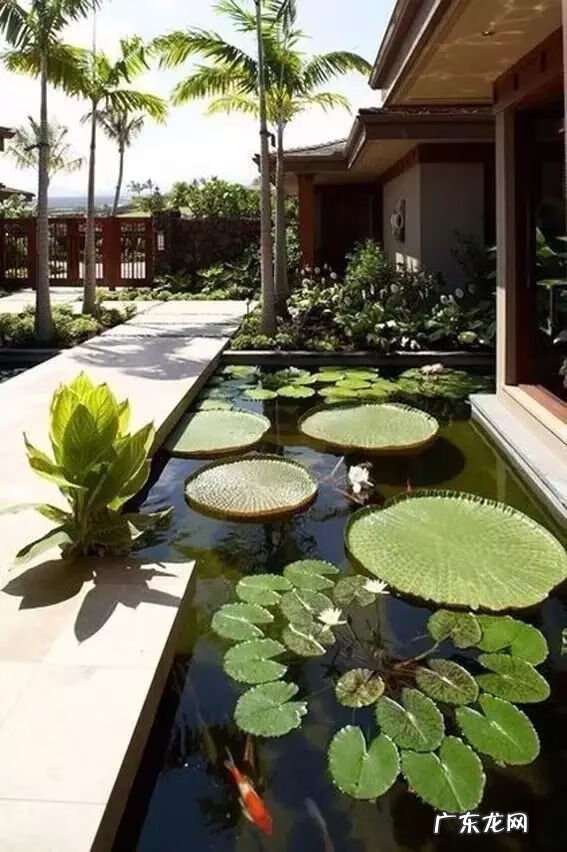 水中倒影还是水中倒影 房屋倒影在水中风水