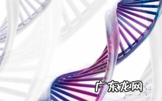 风水物品分类 风水生物识别方法