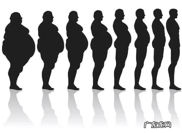 减肥药左旋肉碱有用吗 左旋肉碱 减肥药