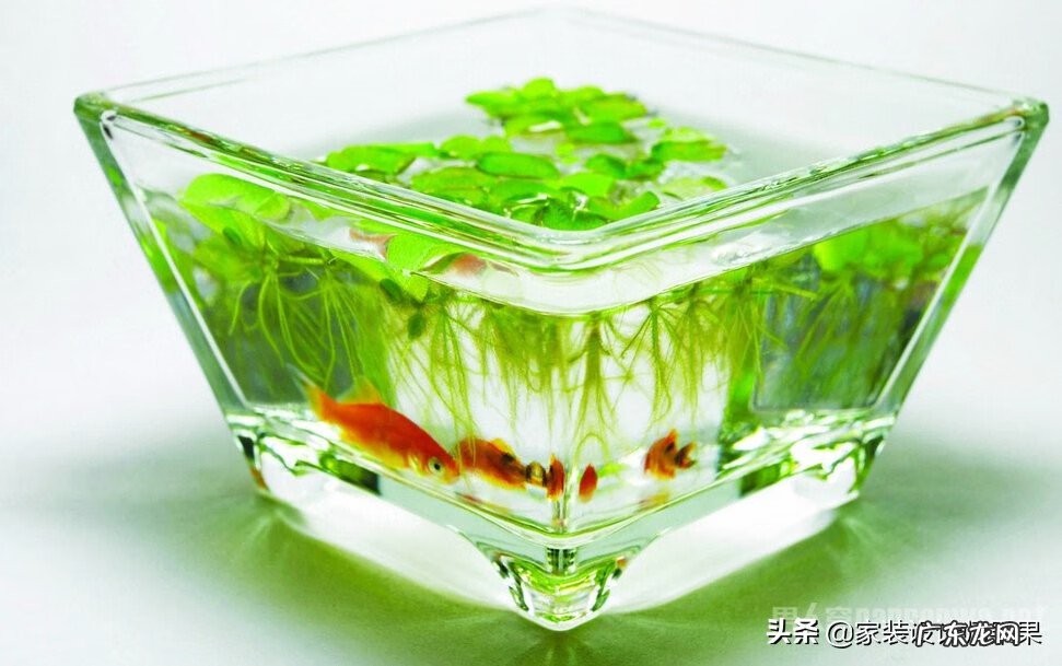 长方形欧式风格装修效果图 欧式长方形风水