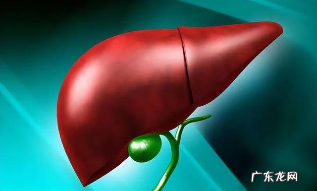 早期肝病的症状 肝病早期症状有哪些表现