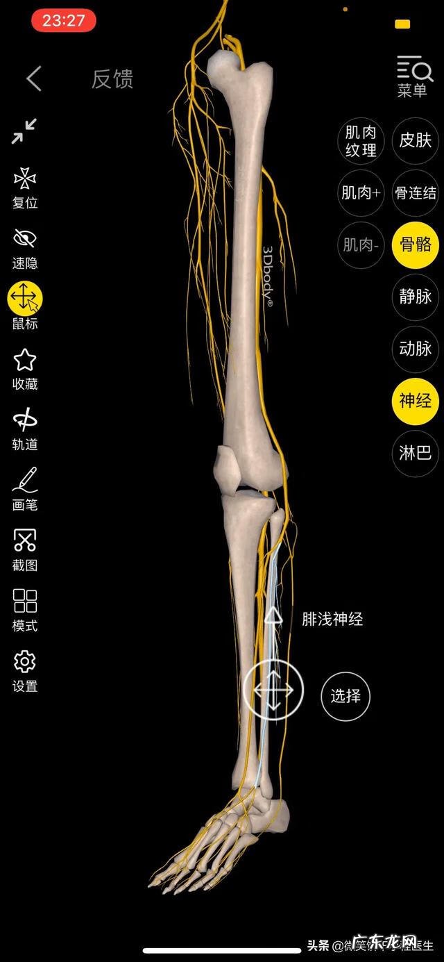 下肢麻木的原因 下肢麻木主要是什么原因