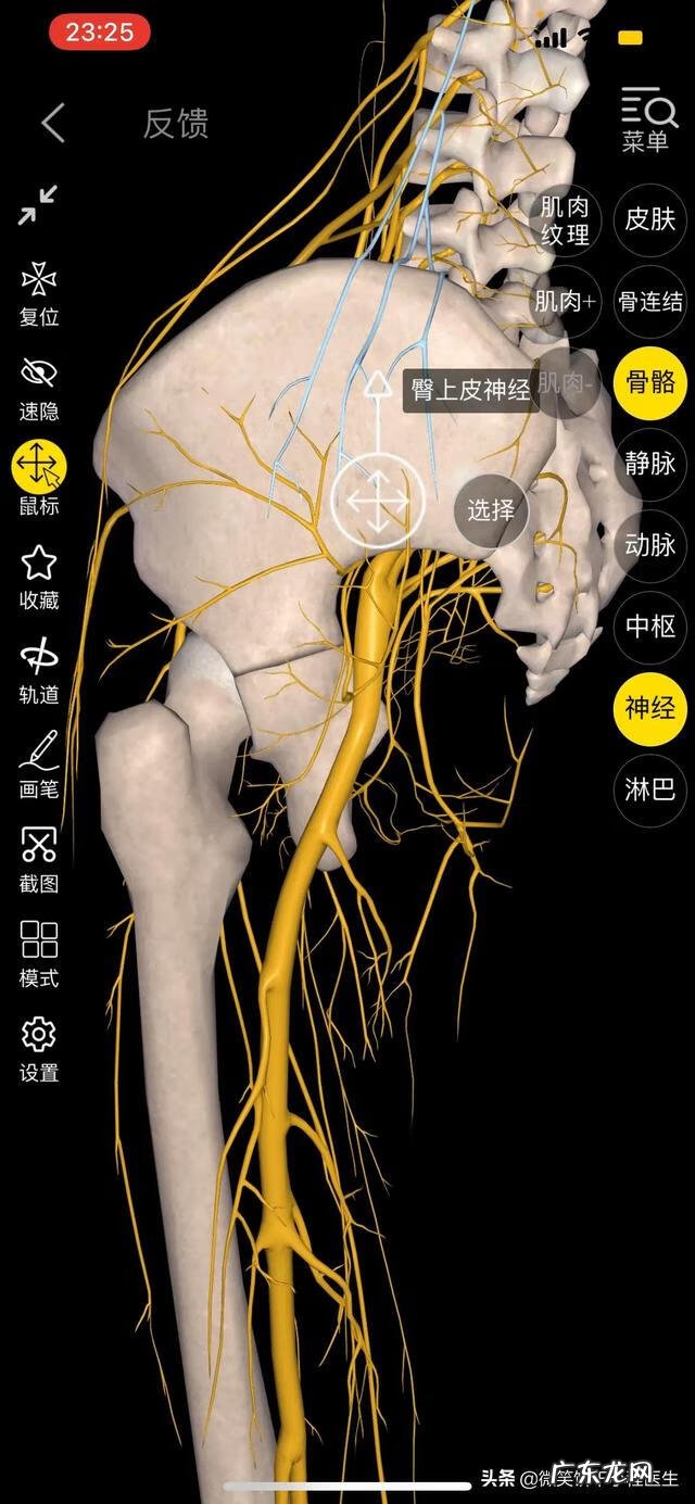 下肢麻木的原因 下肢麻木主要是什么原因