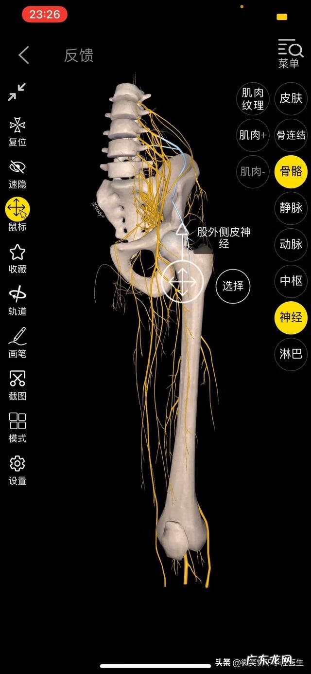 下肢麻木的原因 下肢麻木主要是什么原因