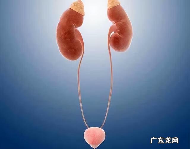 为什么突然尿不尽的感觉 突然尿不尽是怎么回事