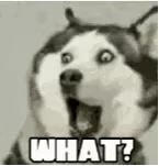 白带多像水一样流出来怎么办 白带像水一样流出来是怎么回事